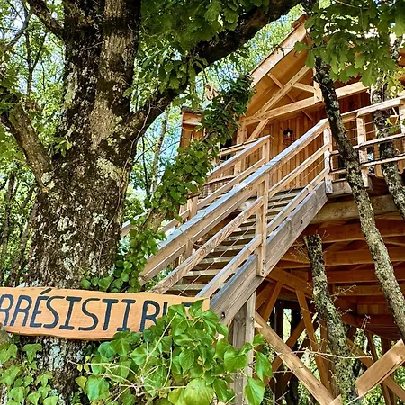 Dolce Et Lodge Berat